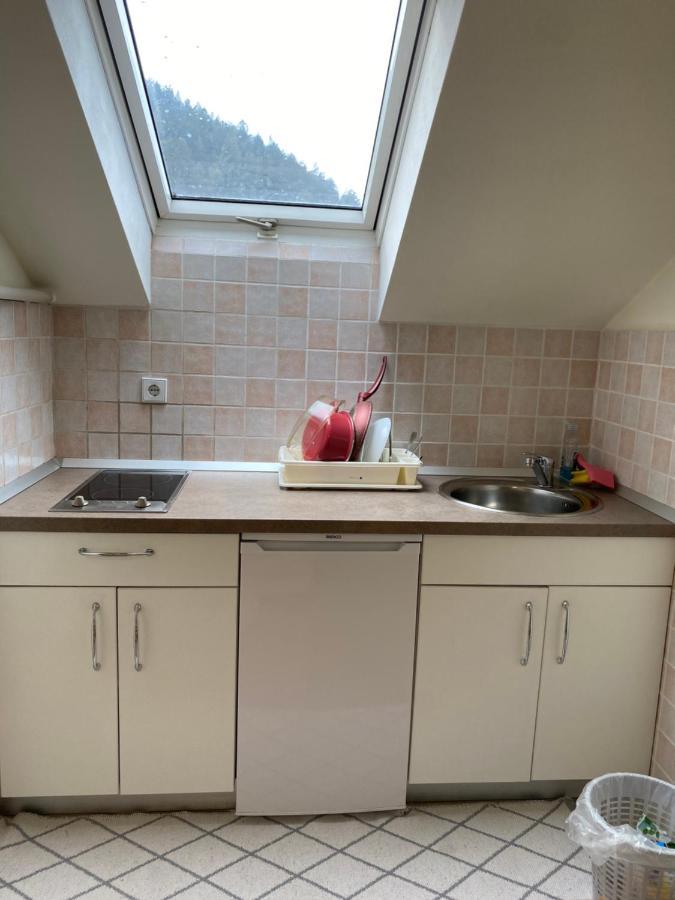 Apartma Regina Slovenj Gradec Exterior foto