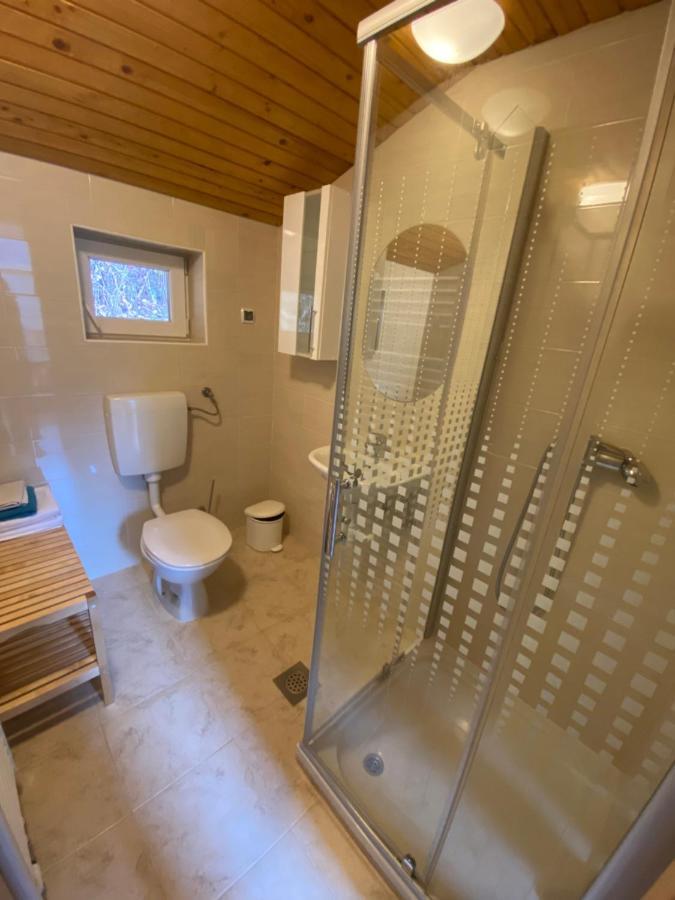 Apartma Regina Slovenj Gradec Exterior foto